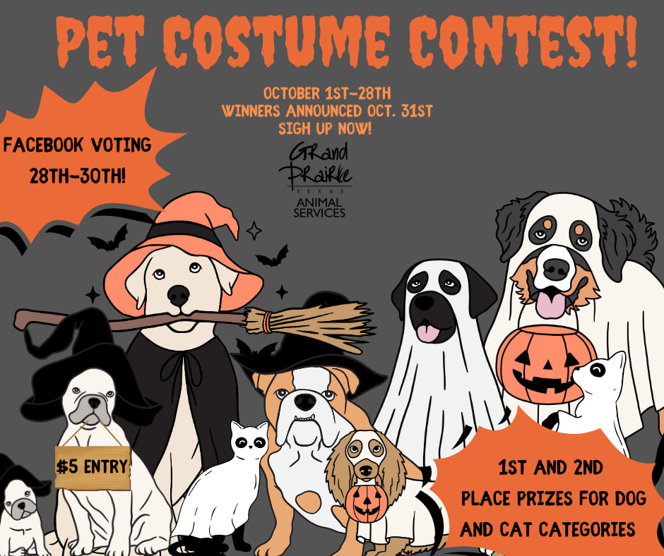 Flyer for pet costume contest by Grand Prairie Animal Services