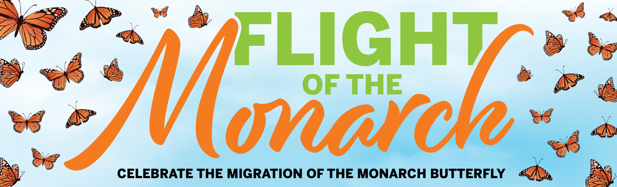 Flight of the Monarch Flyer