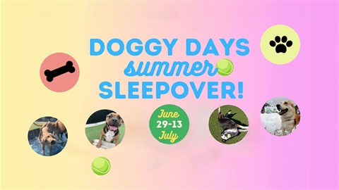 Doggy Days Summer Sleepover from June 29 to July 13. Email GPASFoster@gptx.org for more information